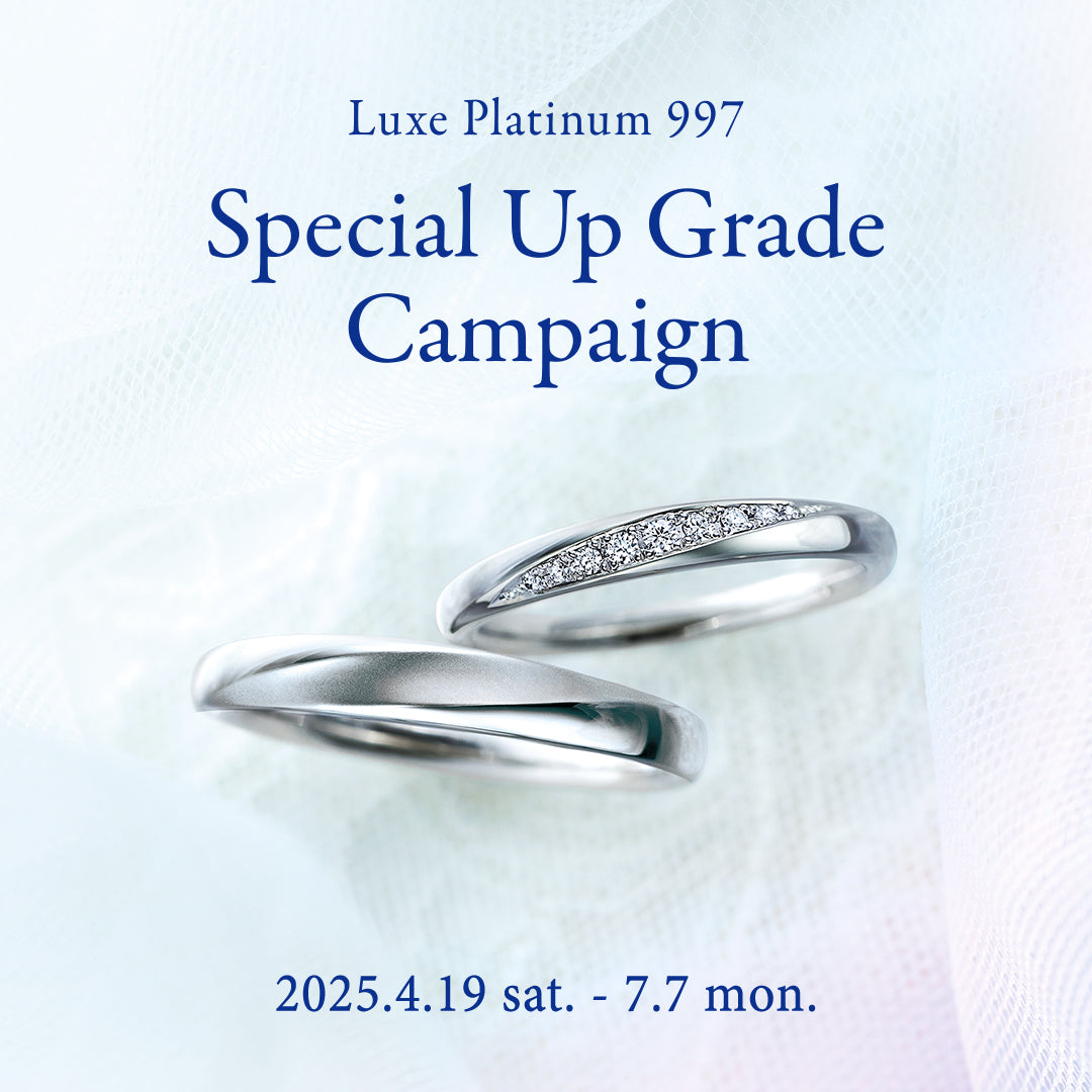 Special Up Grade Campaign