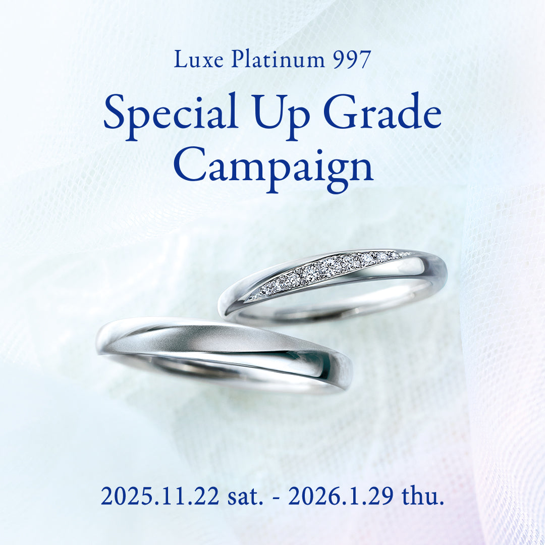 Special Up Grade Campaign