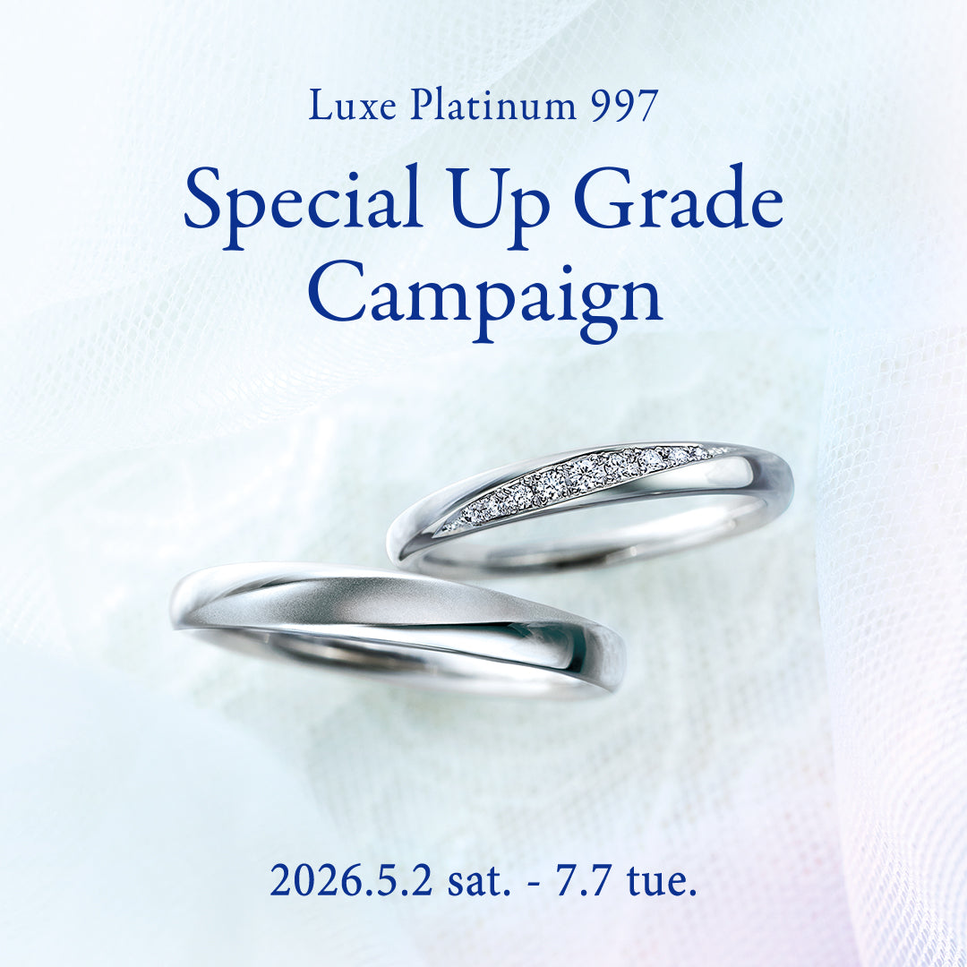 Special Up Grade Campaign