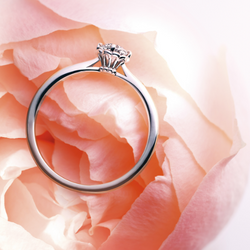 結婚指輪(マリッジリング)一覧 | ヴァンドーム⻘⼭ブライダル 結婚指輪(マリッジリング)一覧 | ヴァンドーム⻘⼭ブライダル